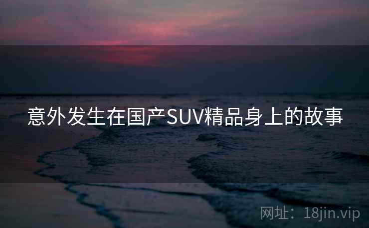 意外发生在国产SUV精品身上的故事 第2张 意外发生在国产SUV精品身上的故事 第2张