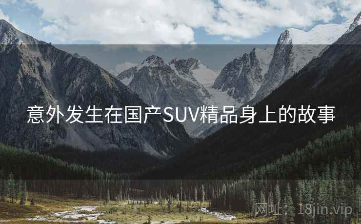 意外发生在国产SUV精品身上的故事